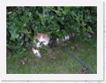 Tommy en Tymo 145 * 2048 x 1536 * (1.13MB)